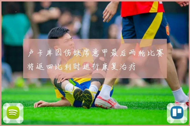 卢卡库因伤缺席意甲最后两轮比赛将返回比利时进行康复治疗