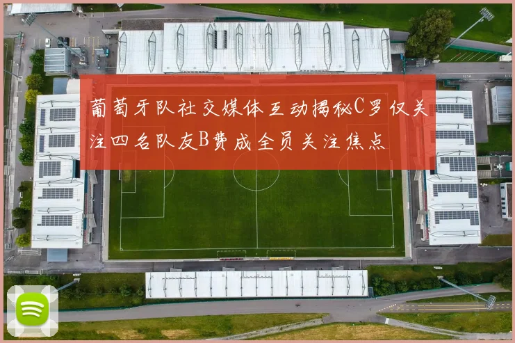 葡萄牙队社交媒体互动揭秘C罗仅关注四名队友B费成全员关注焦点